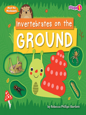 cover image of Invertebrates on the Ground